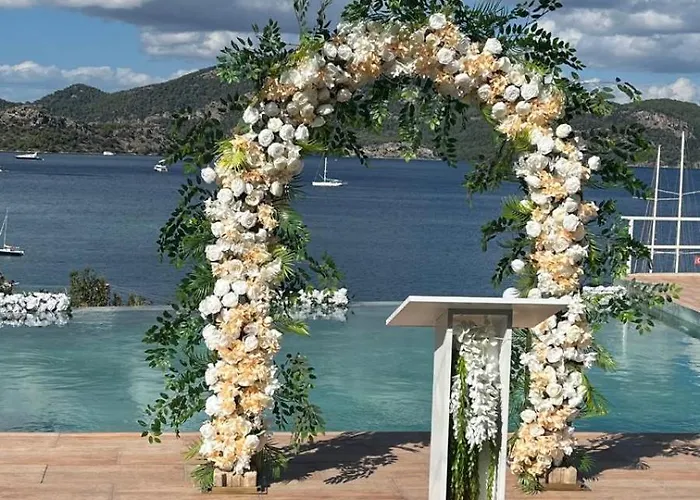 Oda ve Kahvaltı Alice